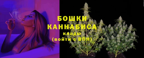 PSILOCYBIN Волосово