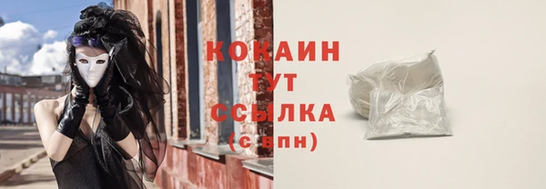 PSILOCYBIN Волосово