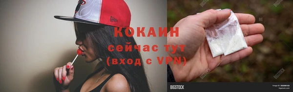 PSILOCYBIN Волосово