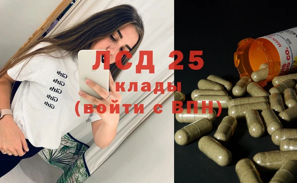 PSILOCYBIN Волосово