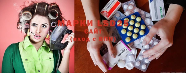 PSILOCYBIN Волосово