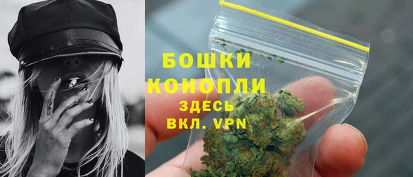 PSILOCYBIN Волосово