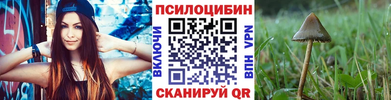 Псилоцибиновые грибы Magic Shrooms  Купить  Коркино 